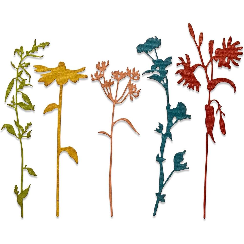 image:imageSizzix Thinlits Die 665221 Wildflower Stems 3 by Tim Holtz 5 Pack