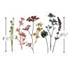Sizzix 661190 Wildflowers Thinlits Die Set by Tim Holtz (7/Pack)(Classic)