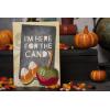 Sizzx Thinlits Die Set 29PK Trick or Treat Colorize by Tim Holtz | 666002 | Chapter 3 2022