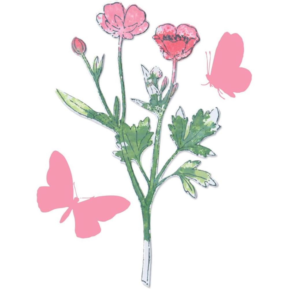 image:imageSizzix A5 Clear Stamps amp Framelits Dies Painted Pencil Botanical by 49 and Market