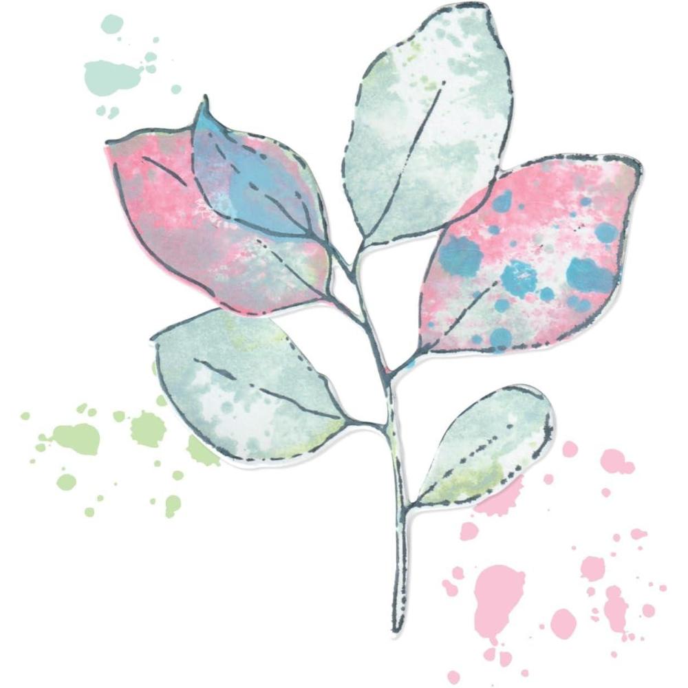 image:imageSizzix A5 Clear Stamps amp Framelits Dies Painted Pencil Leaves by 49 and Market