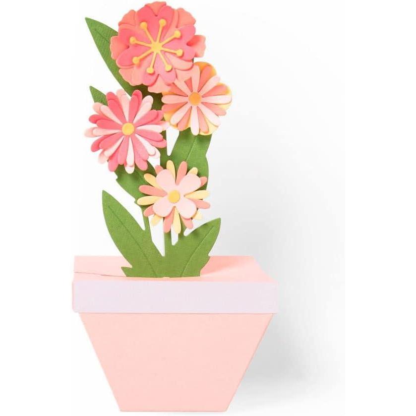 image:imageSizzix Thinlits Plus Die Set 11 Pack Cake Box by Georgie Evans MulticolorPlant Pot PopUp