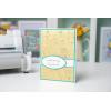 Sizzix 3-D Textured Impressions Embossing Folder Dandelion Wish by Kath Breen, 665001