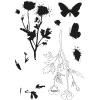 Sizzix A5 Clear Stamps & Framelits Dies – Painted Pencil Botanical by 49 and Market
