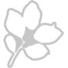 Sizzix A5 Clear Stamps & Framelits Dies – Painted Pencil Leaves by 49 and Market