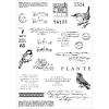 Sizzix A5 Clear Stamps w/Framelits Die Bird Song by 49 and Market