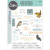 Sizzix A5 Clear Stamps w/Framelits Die Bird Song by 49 and Market