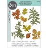 Sizzix A5 Clear Stamps w/Framelits Die Forever Leaves by 49 and Market