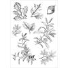 Sizzix A5 Clear Stamps w/Framelits Die Forever Leaves by 49 and Market