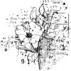 Sizzix Framelits Dies & Stamps – Floral Mix Cluster by 49 and Market, Clear/Silver