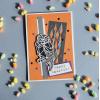 Sizzix Frightful Things Thinlits Die Set Tim Holtz, 17 Pack(Goe Halloween)