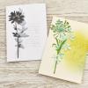 Sizzix Thinlits Die Set , Wildflower Stems #2 by Tim Holtz, 5 Pack, One Size, Multicolor 5 Piece(Wildflower Stems #1)