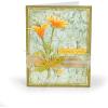 Sizzix Thinlits Die Set , Wildflower Stems #2 by Tim Holtz, 5 Pack, One Size, Multicolor 5 Piece(Wildflower Stems #2)
