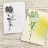 Sizzix Thinlits Die Set , Wildflower Stems #2 by Tim Holtz, 5 Pack, One Size, Multicolor 5 Piece(Wildflower Stems #2)