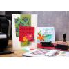Sizzix Thinlits Die Set 14PK Modern Festive by Tim Holtz | 666069 | Chapter 4 2022 Wafer, Grey