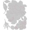 Sizzix Thinlits Die Set 5PK Brushstroke Flowers #3 by Tim Holtz, 665360