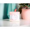 Sizzix Thinlits Plus Die Set 11 Pack Cake Box by Georgie Evans, Multicolor(Classic)