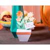 Sizzix Thinlits Plus Die Set 11 Pack Cake Box by Georgie Evans, Multicolor(Plant Pot Pop-Up)