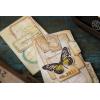 Sizzx Thinlits Die Set 13PK Vintage Labels by Tim Holtz | 665929 | Chapter 3 2022