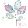 Sizzix A5 Clear Stamps & Framelits Dies – Painted Pencil Leaves by 49 and Market