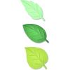 Sizzix Switchlits Embossing Folder Spring Leaves by Kath Breen, 665737, Multicolor