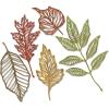 Sizzix TH Thinlits Skeleton Leaves, None