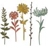 Sizzix Thinlits Die Set , Wildflower Stems #2 by Tim Holtz, 5 Pack, One Size, Multicolor 5 Piece(Wildflower Stems #1)