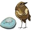 Sizzix Thinlits Die Set 11PK Bird & Egg Colorize by Tim Holtz, 665857