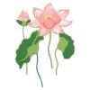 Sizzix Thinlits Die Set Layered Water Flower, Multicolor