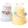 Sizzix Thinlits Plus Die Set 11 Pack Cake Box by Georgie Evans, Multicolor(Cake Pop-Up)