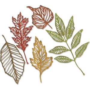Sizzix TH Thinlits Skeleton Leaves, None