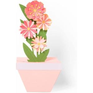 Sizzix Thinlits Plus Die Set 11 Pack Cake Box by Georgie Evans, Multicolor(Plant Pot Pop-Up)