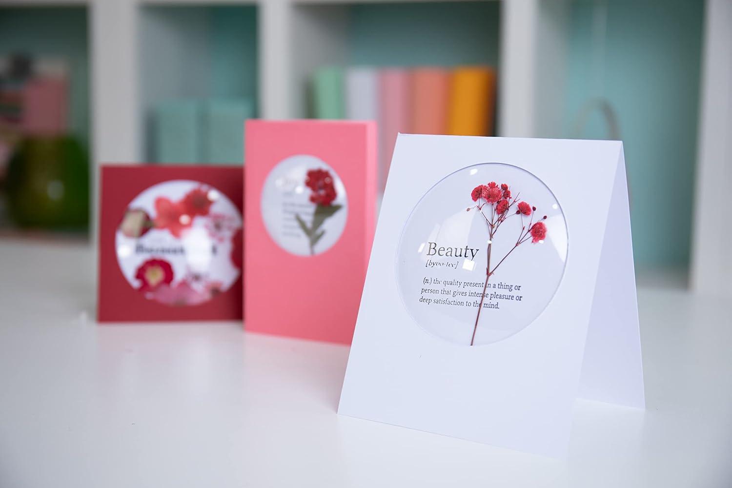 image:imageSizzix Shaker Domes Circle 64cm 6 Pack 25Circle 3 12 4pk
