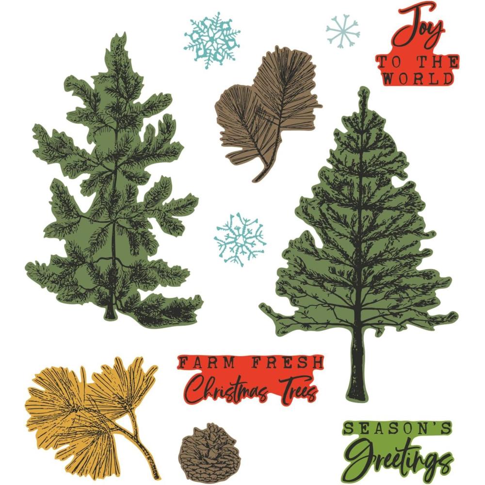 image:imageSizzix A5 Clear Stamps wFramelits Die Pine Holidays by 49 and Market