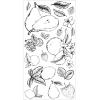 Sizzix Clear Stamps Set – Botanical Fruit by Lisa Jones