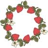 Sizzix Clear Stamps Set – Botanical Fruit by Lisa Jones