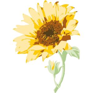 Sizzix Layered Clear Craft Stamps for Card Making 6PK Sunflower Stem by Olivia Rose | 665975 | Chapter 4 2022