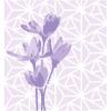 Sizzix Layered Reusable Stencils for Crafts 4PK Geo Flowers by Olivia Rose | 664917 | Chapter 4 2022