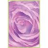 Belle of the Ball Stencil 4PK – Adornment by Stacey Park for Sizzix