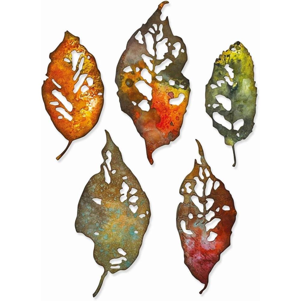 image:imageSizzix Thinlits Die Set 5PK Leaf Fragments by Tim Holtz 665559
