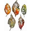 Sizzix Thinlits Die Set 5PK Leaf Fragments by Tim Holtz, 665559